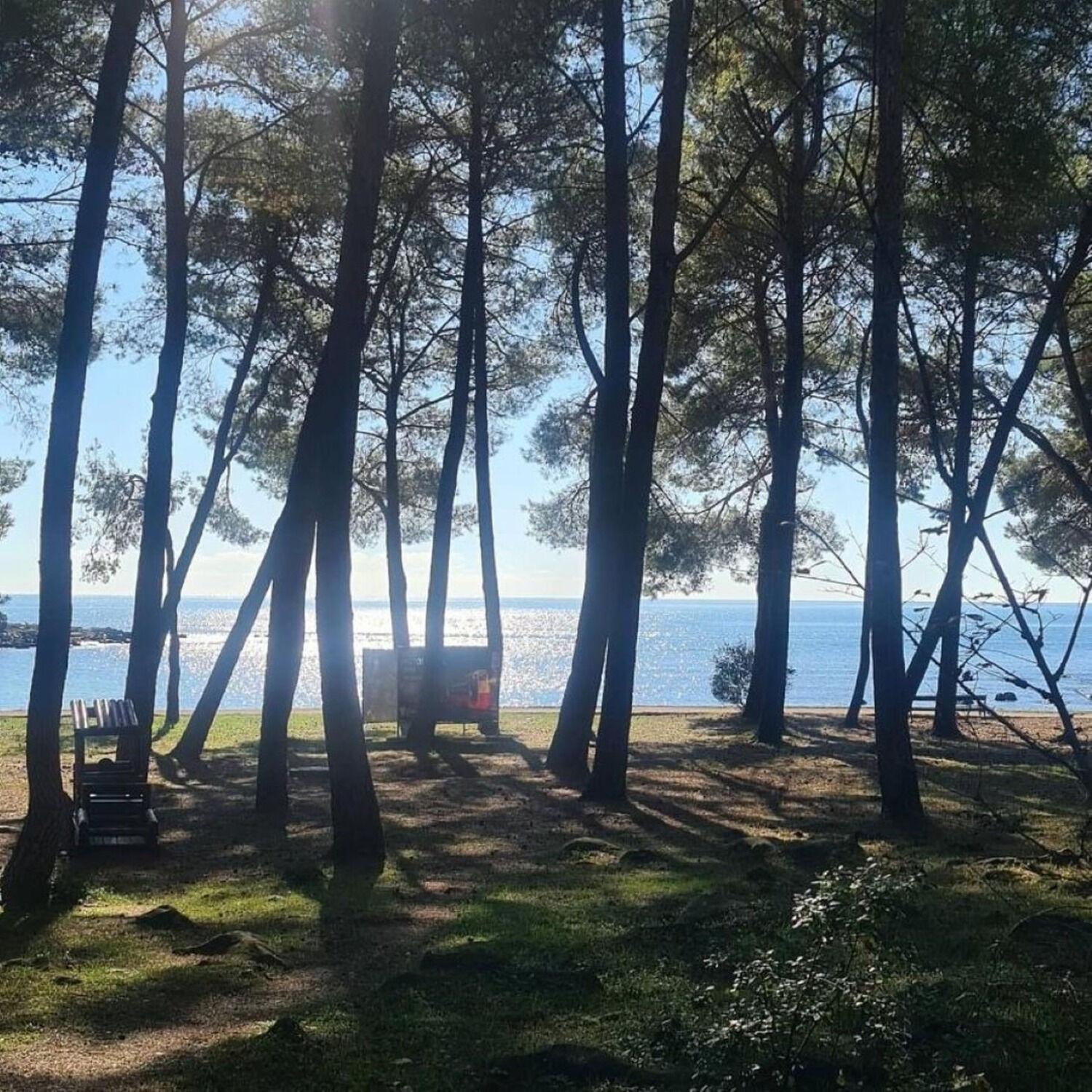 Apartments Berto - 500M To The Beach ロヴィニ エクステリア 写真